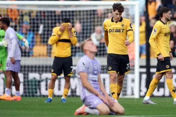 Ladislav Krejčí po zápase Wolverhampton – Brighton