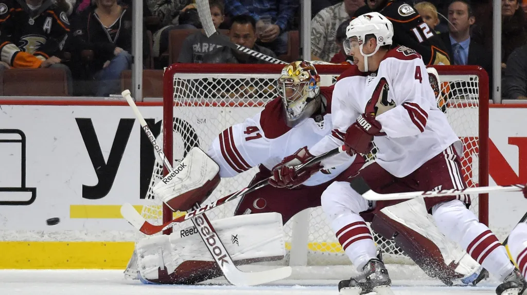 Zbyněk Michálek v dresu Arizony