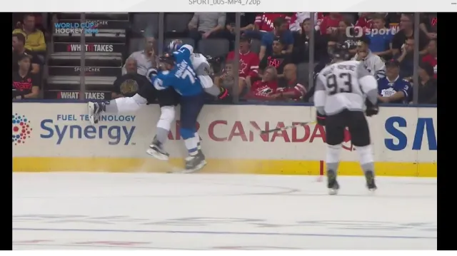 Gól v utkání Finsko - Severní Amerika 23: Filppula - 1:4 (56. min.)