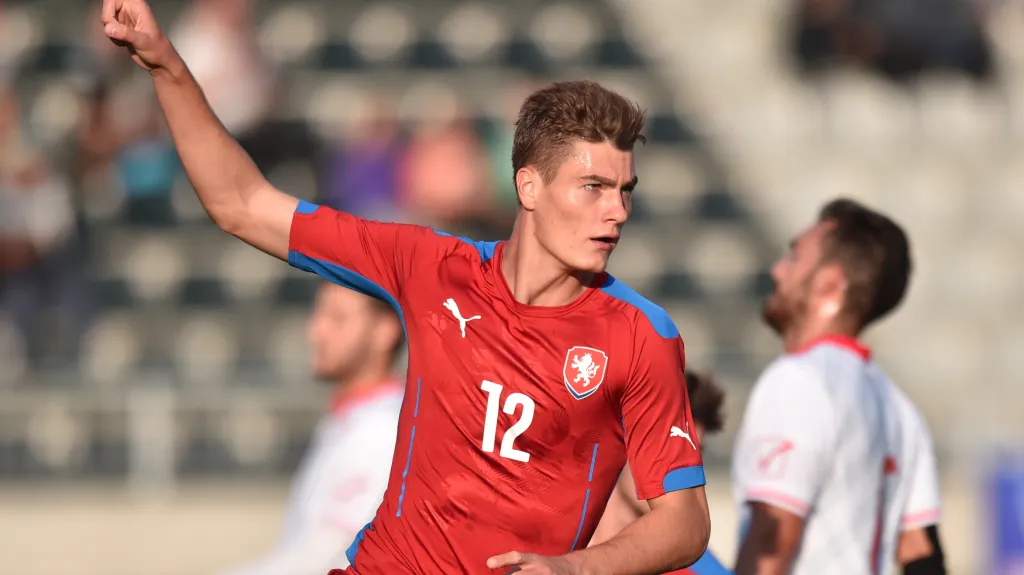 Radost Patricka Schicka