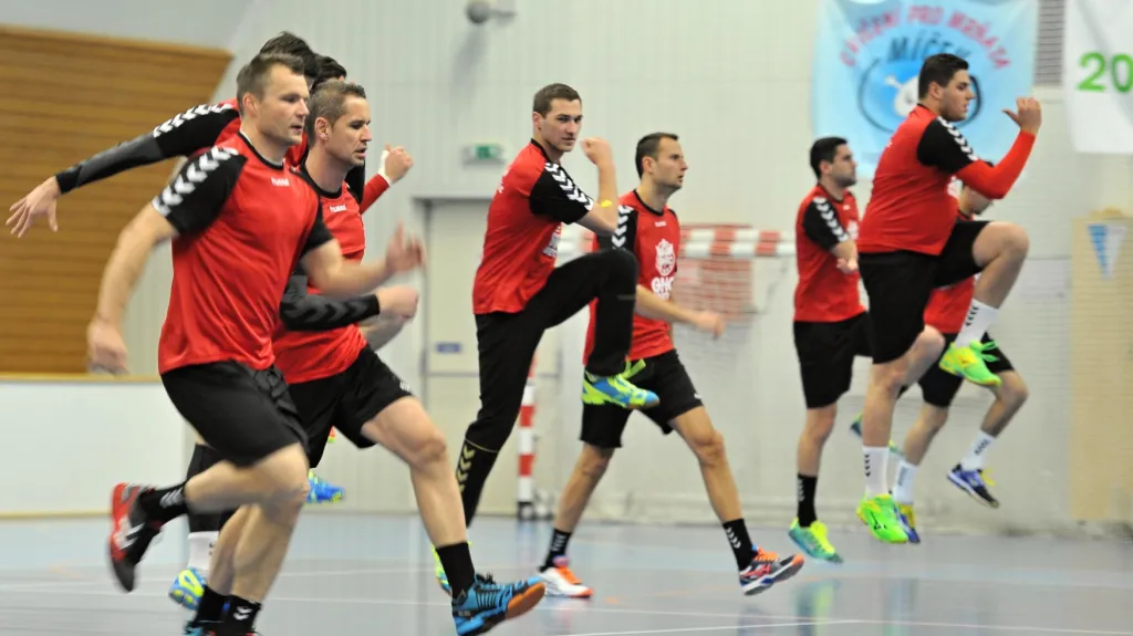 Házenkáři se připravují na generálku MS s Německem