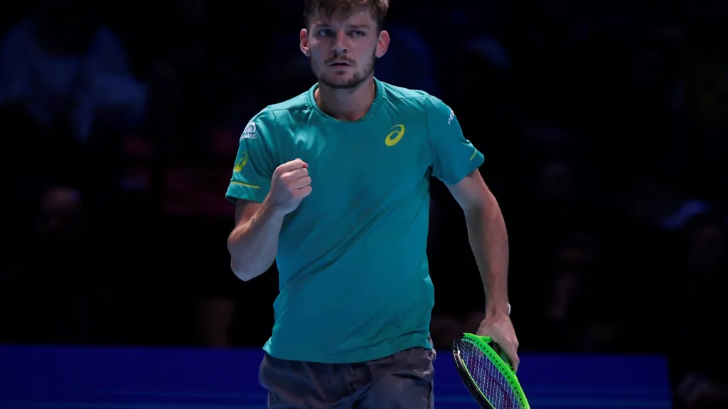 David Goffin 