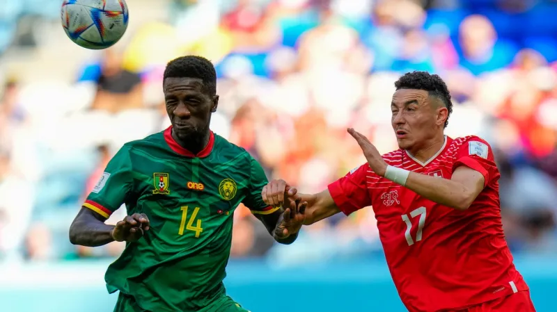 Švýcarsko - Kamerun