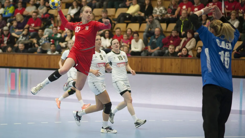 Utkání Česko - Rakousko