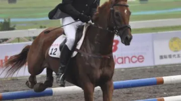 Parkurové skákání