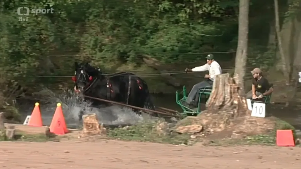 Chladnokrevníci bojovali o tituly na mistrovství republiky