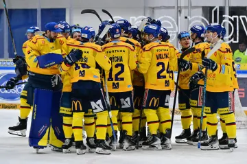 Hokejisté Českých Budějovic