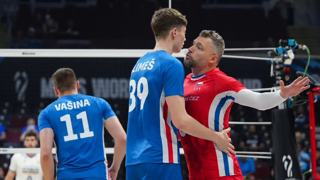 Česká volejbalová reprezentace