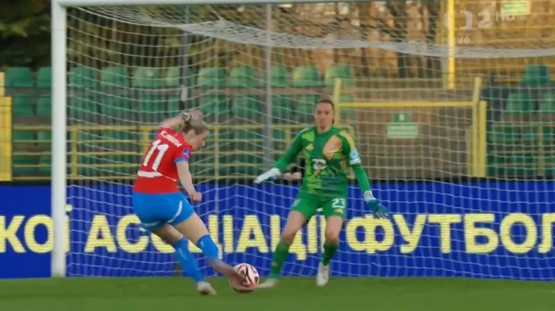 Sestřih utkání Ukrajina – Česko s ohlasy