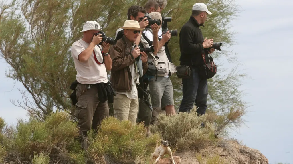 Fotografové na Dakaru