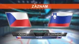 Záznam utkání Česko - Slovinsko