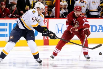Roman Josi a Radim Vrbata