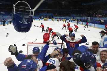 Slovenští hokejisté