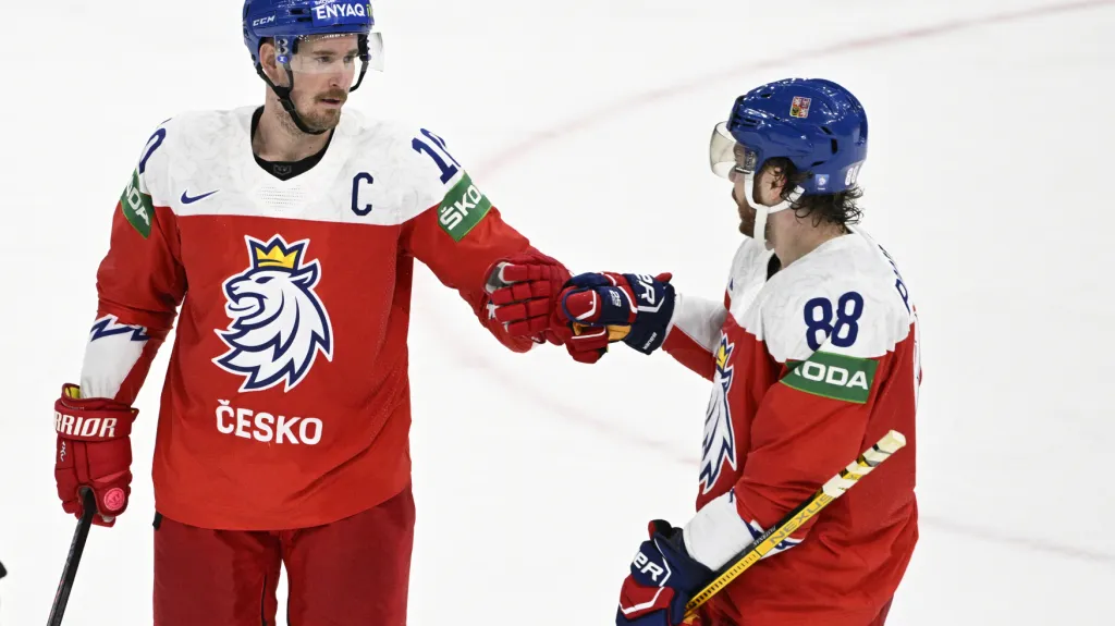 Roman Červenka (vlevo) a David Pastrňák