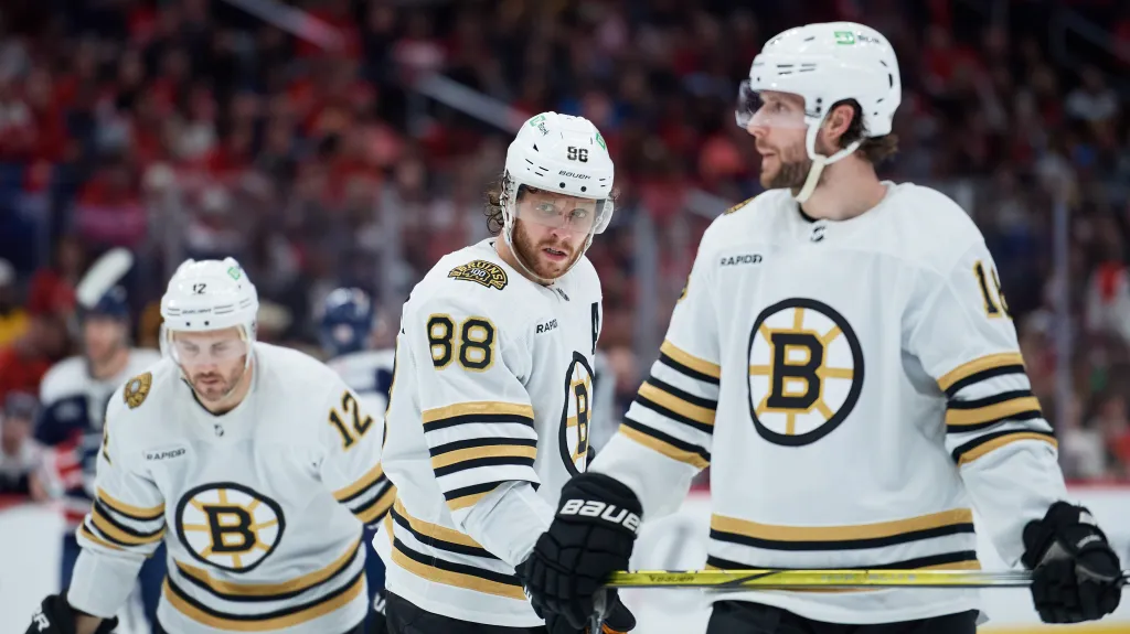 David Pastrňák a Pavel Zacha