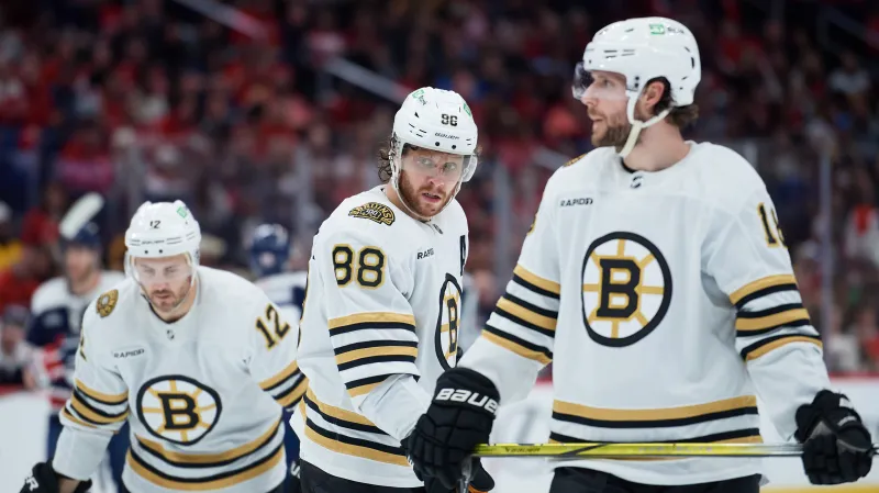 David Pastrňák a Pavel Zacha