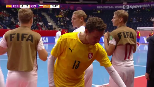 Sestřih a ohlasy utkání Španělsko - Česko