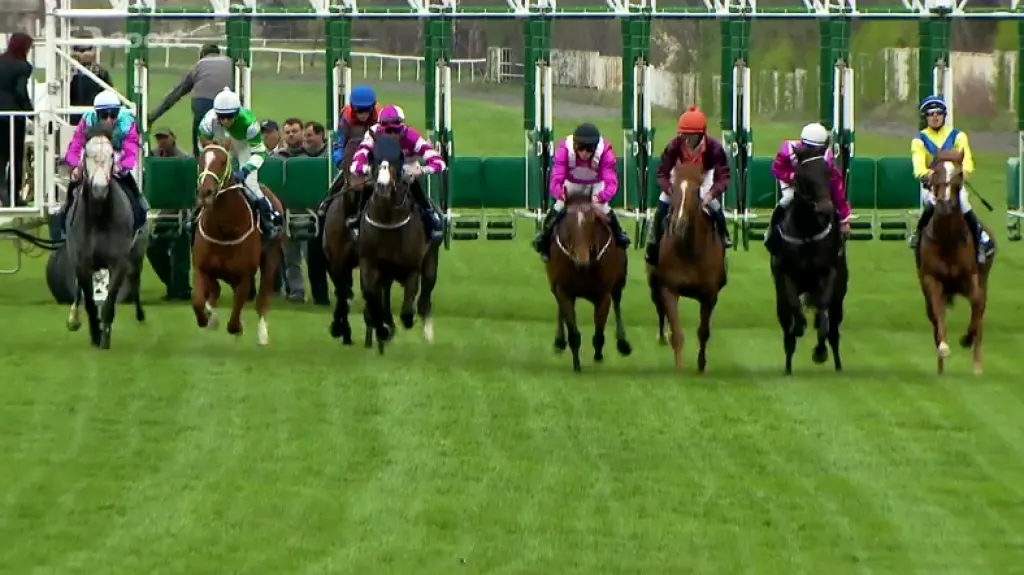 Gomba handicap s ohlasem vítěze