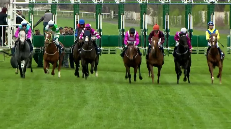 Gomba handicap s ohlasem vítěze