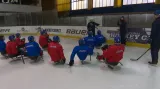 Český parahokej se profesionalizuje, reprezentace navíc omladila