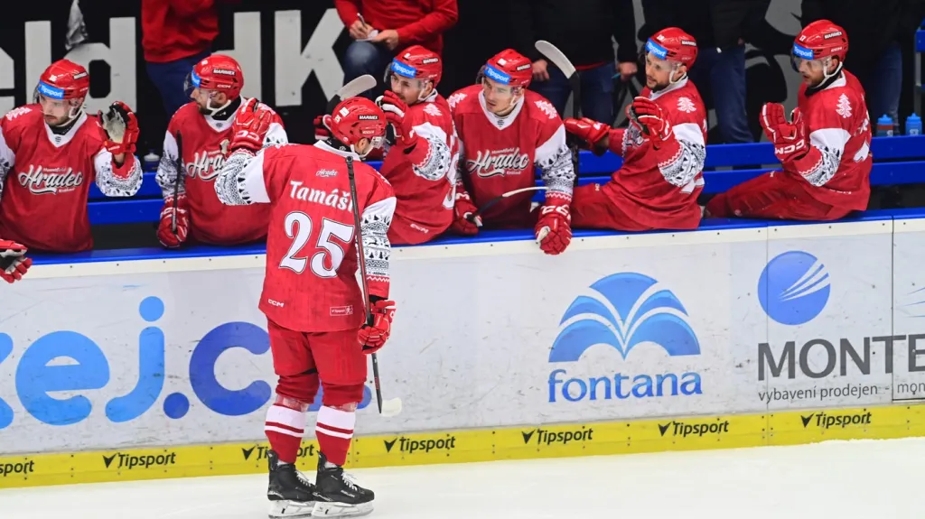 Alex Tamáši oslavuje branku se spoluhráči