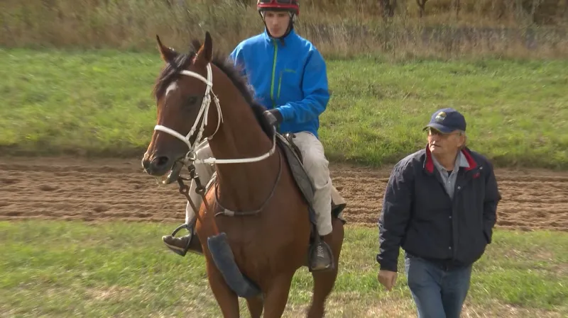 Sztorm pod dohledem trenéra Wroblewského