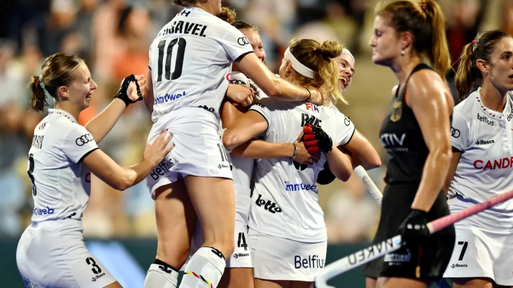 Belgické pozemkářky