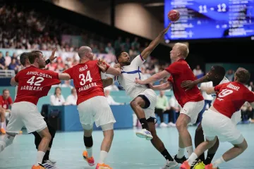 Utkání Dánsko – Francie