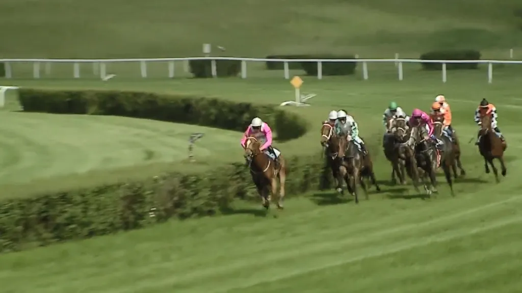 Murzabajev dovedl Eternity k vítězství v Jarní ceně klisen