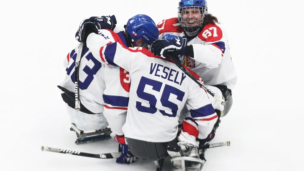 Čeští parahokejisté