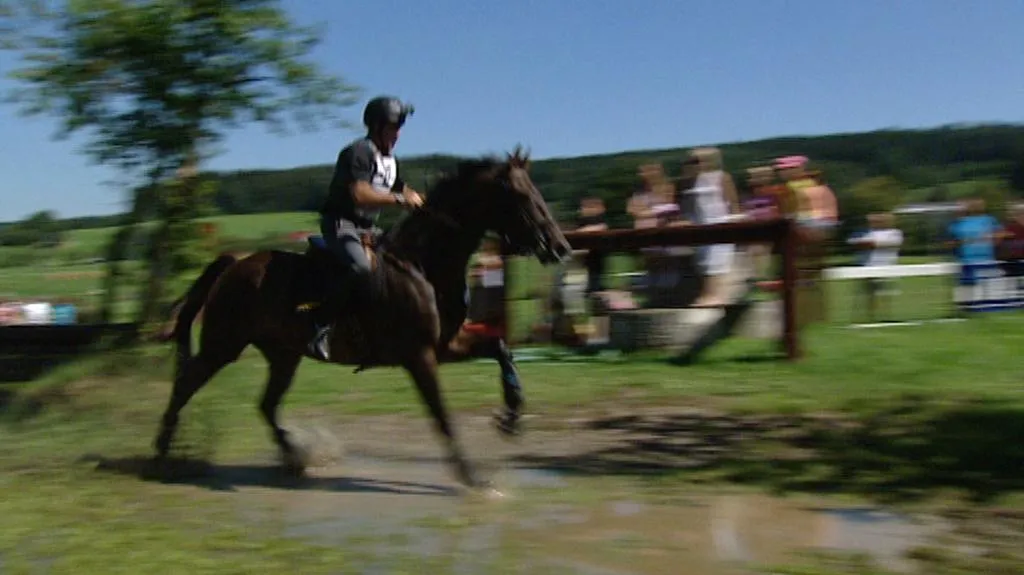 46. ročník Zlaté podkovy