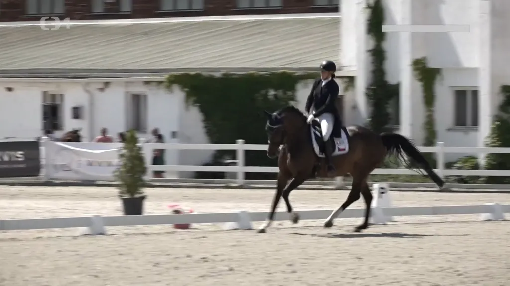 Vašáryovi vezou z republikového šampionátu v drezuře čtyři zlata