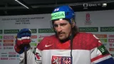 Daniel Voženílek