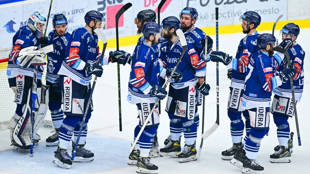 Vítkovičtí hokejisté