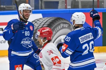 Bratři Tomáš a Hynek Zohornové slaví gól v Lize mistrů