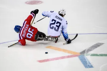 Utkání USA - Česko