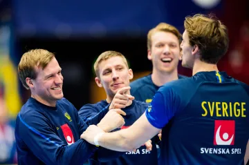 Házenkáři Švédska