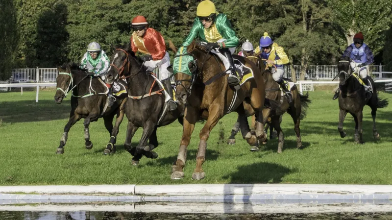 Delight My Fire (vlevo) a Bridgeur nad vodní překážkou