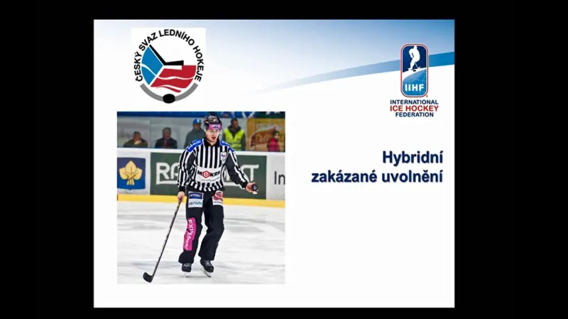 Co znamená hybridní icing