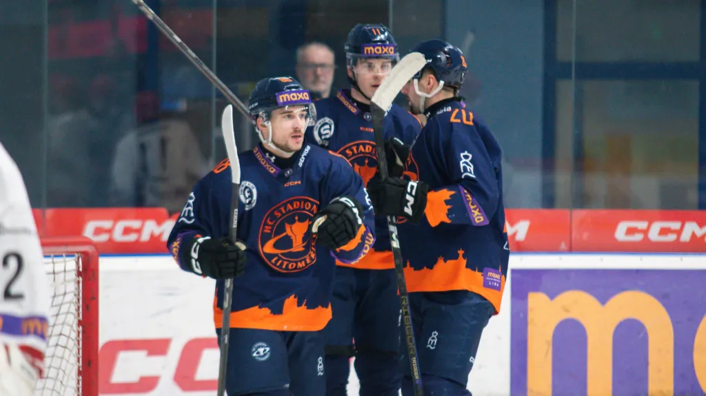 Hokejisté Litoměřic