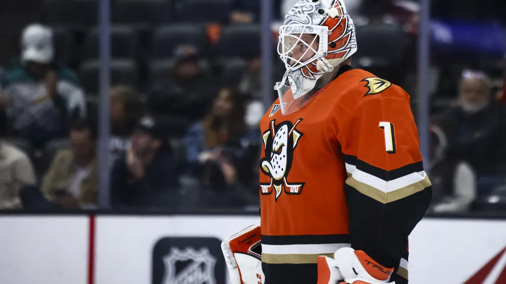 Lukáš Dostál v dresu Anaheimu