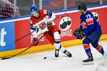 Martin Nečas v utkání s Velkou Británií