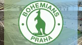 Bohemians Praha