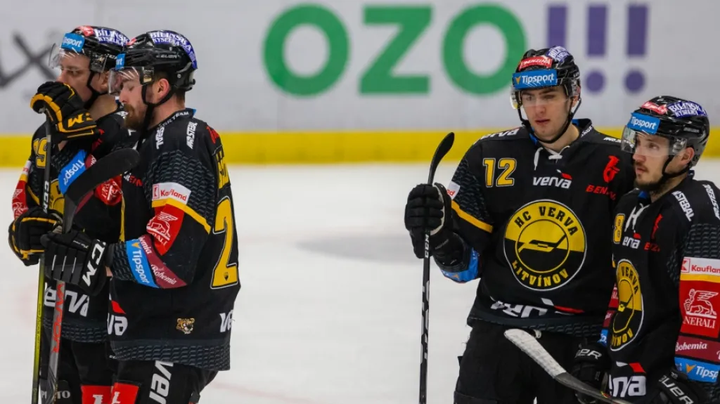 Zklamaní hráči Litvínova