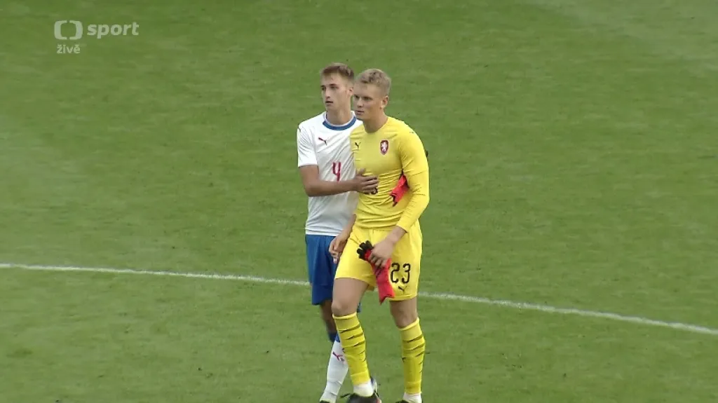 Sestřih a ohlasy utkání Česko - Dánsko