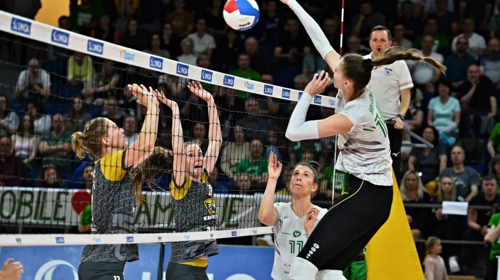 Utkání KP Brno – Šelmy Brno