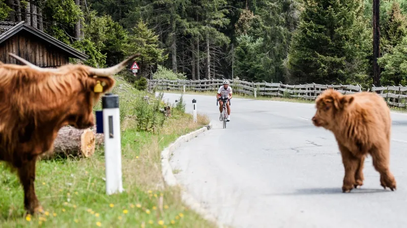 Sváťa Božák během cyklistického ultramaratonu Race Around Austria Extreme