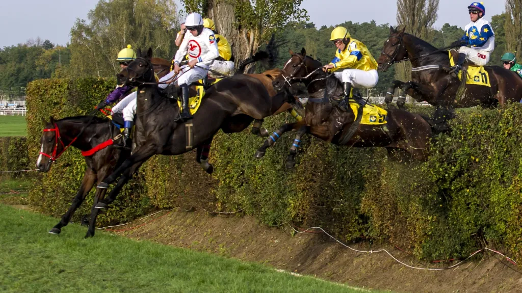 Velká pardubická 2014
