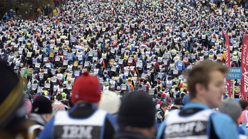 Sestřih 91. ročníku Vasova běhu