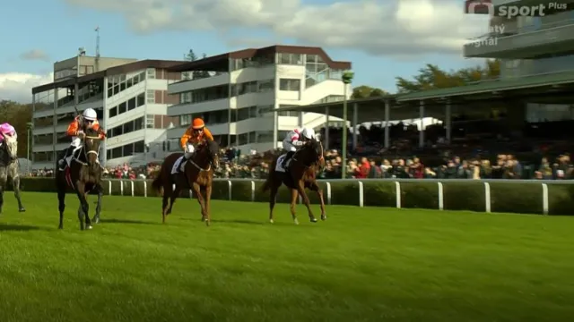 43. Cena zimní královny s ohlasy